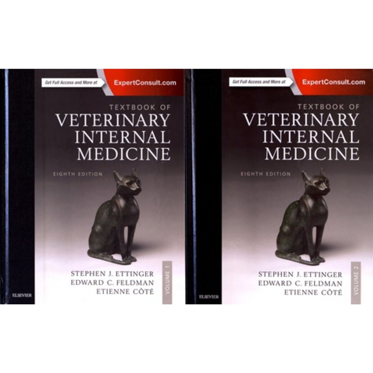 本Textbook of veterinary internal medicine - 洋書