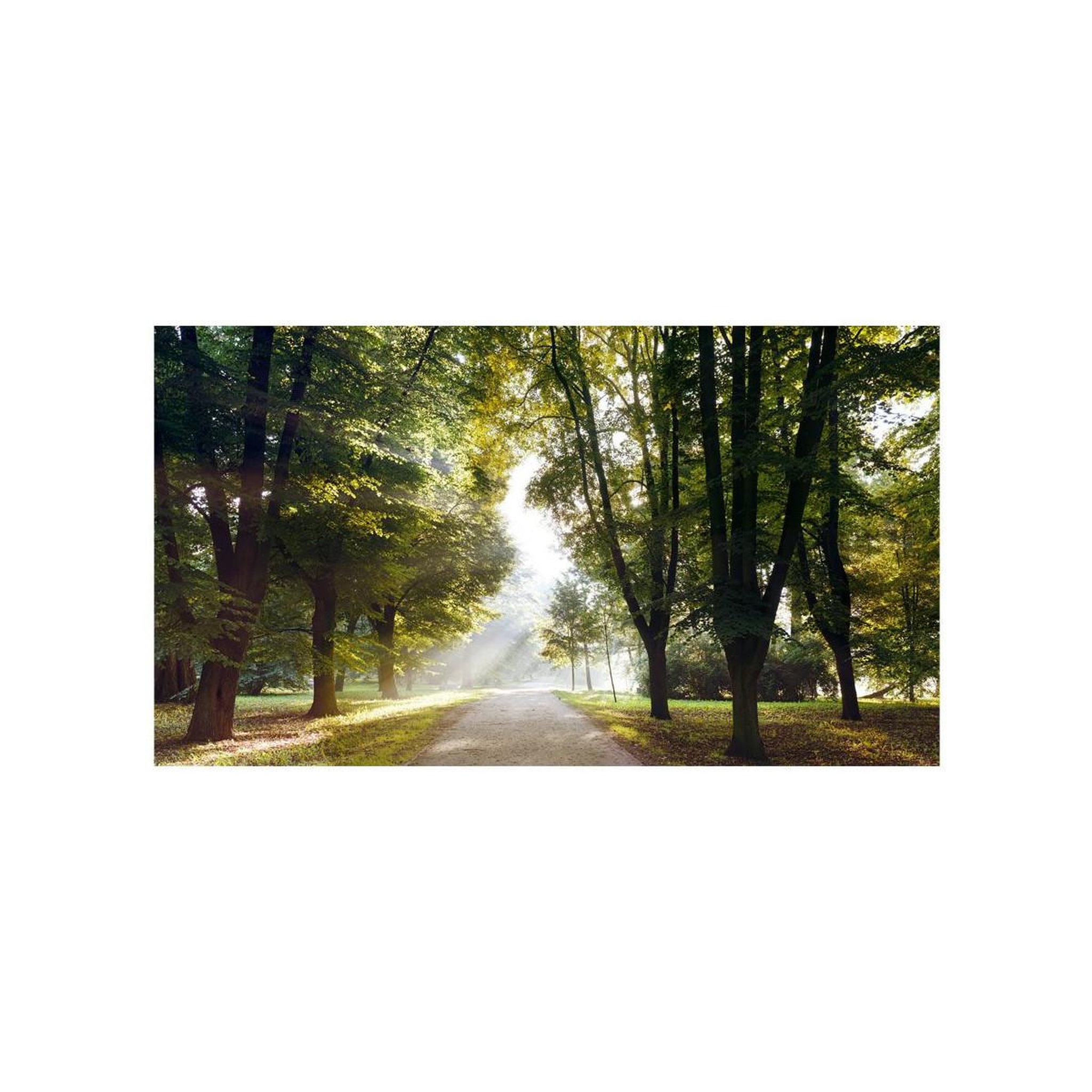 Voir la diapositive 2 : Paris Prix Papier peint xxl  morning walk