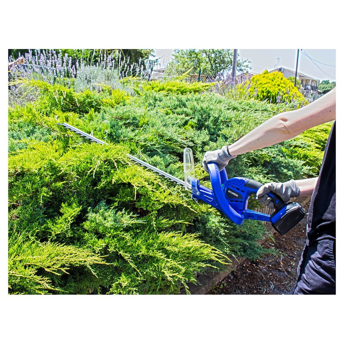 HYUNDAI Taille-haie sans fil 20 V 52 cm