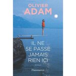 IL NE SE PASSE JAMAIS RIEN ICI, Adam Olivier