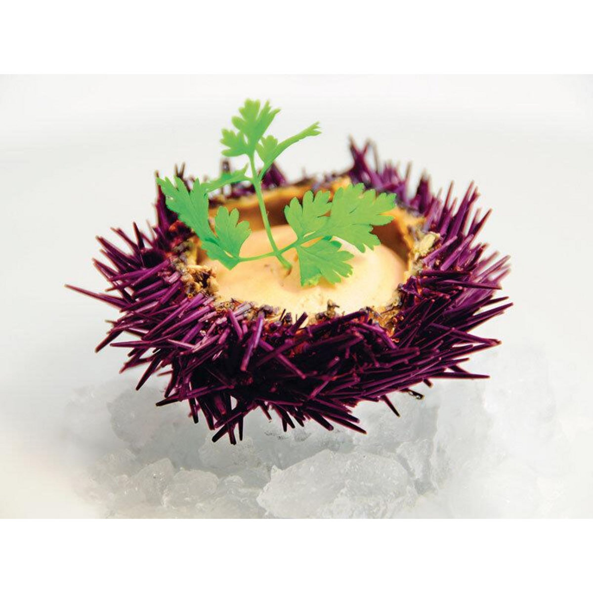 Smartbox Adresses primées : repas 7 plats au restaurant La Ribaudière près de Cognac - Coffret Cadeau Gastronomie