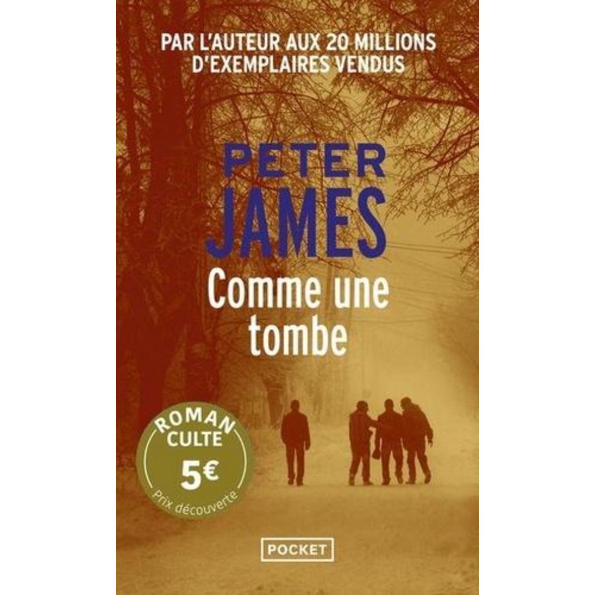 COMME UNE TOMBE, James Peter