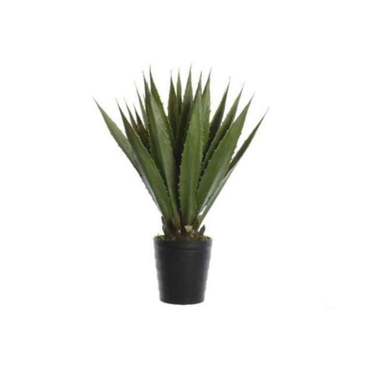JARDIDECO Plante grasse artificielle - Jardideco