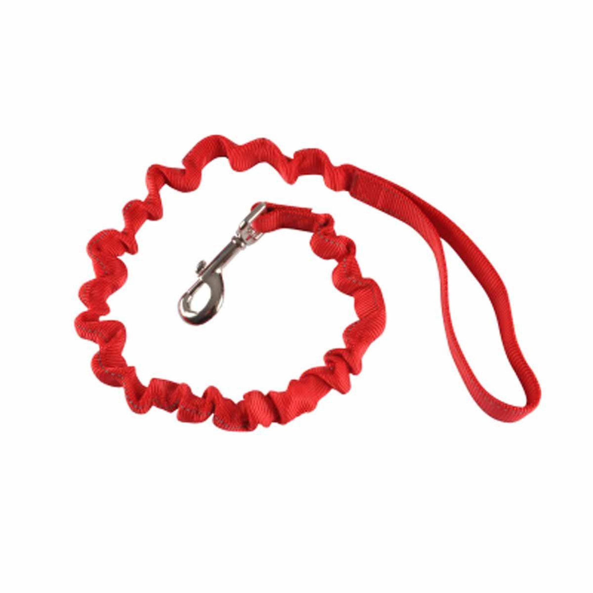 HOMEA Laisse chien anti à coups  essentiel  120cm rouge