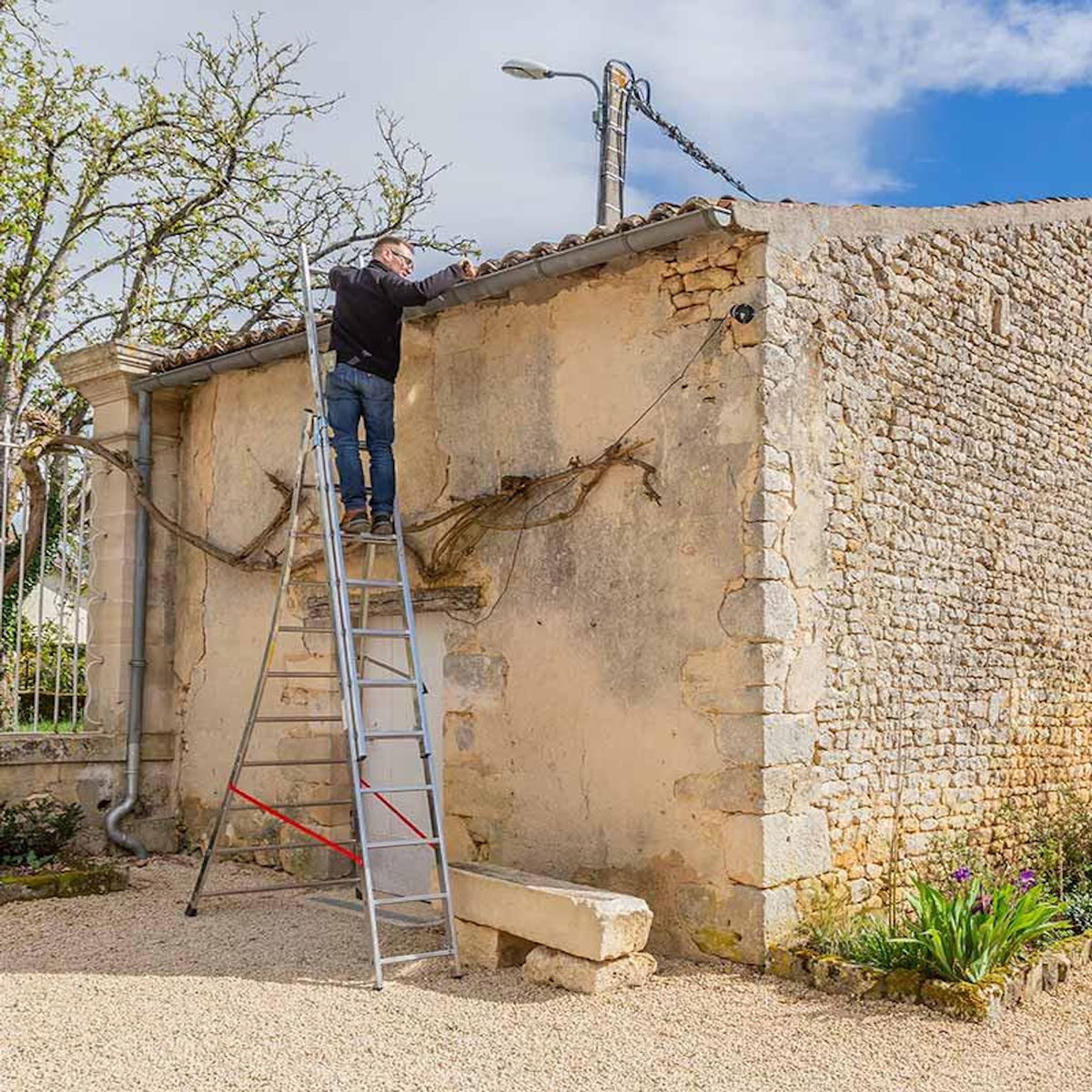 HAILO Echelle transformable base évasée 3 plans 3x11 échelons 6,5m/7,3m en alu Hailo Premium