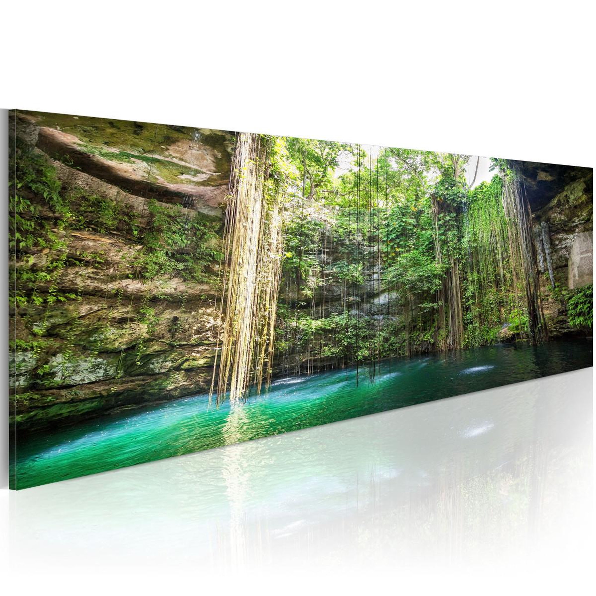 Voir la diapositive 1 : Paris Prix Tableau imprimé  tesoro della natura nascosto