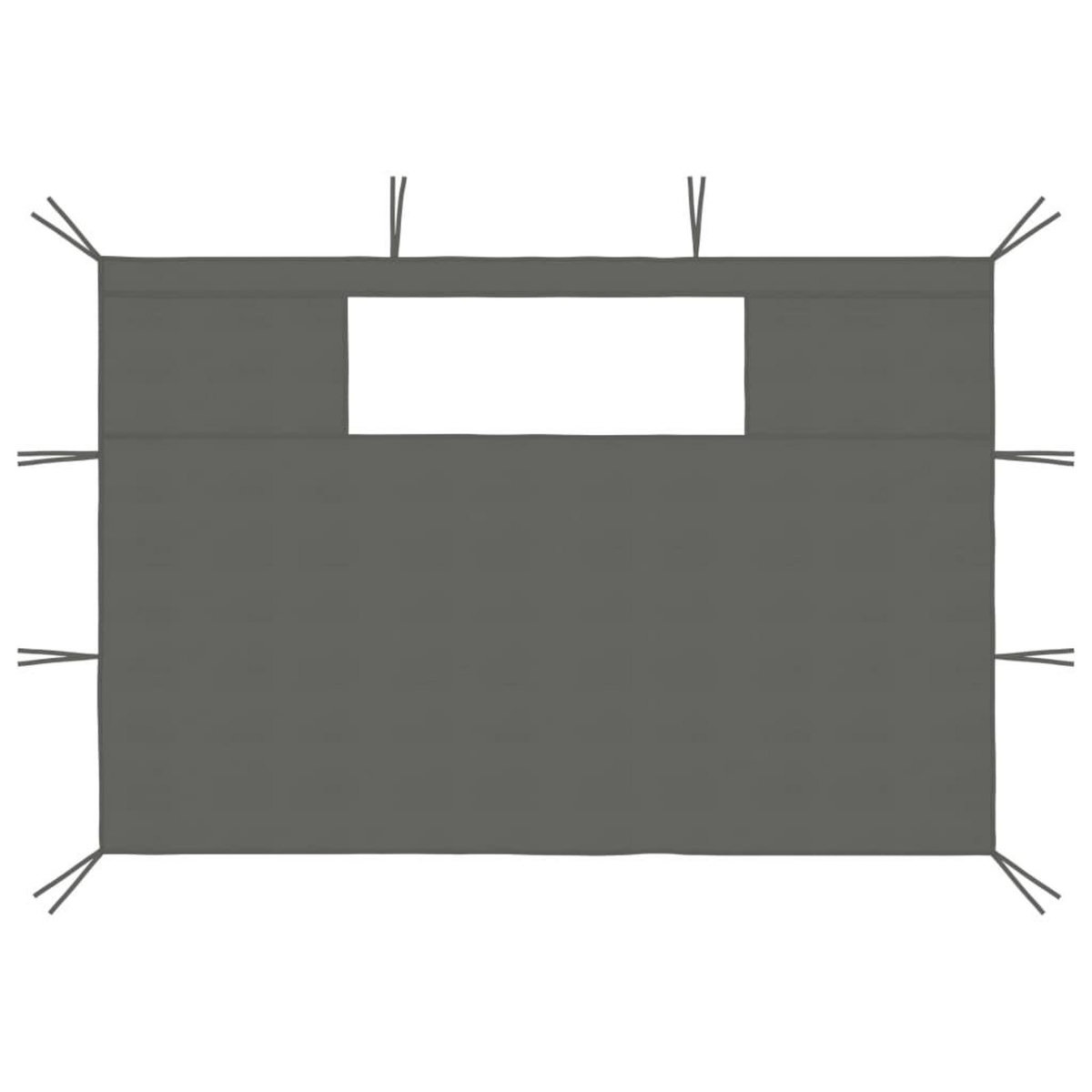 VIDAXL Parois laterales de belvedere avec fenetres 2 pcs Anthracite