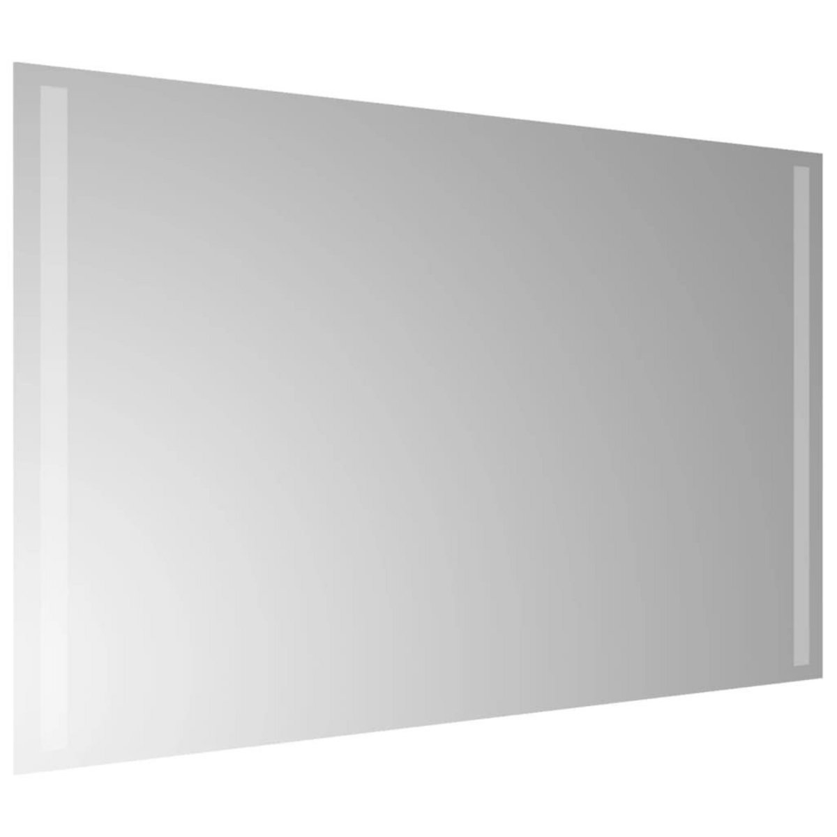 VIDAXL Miroir de salle de bain a LED 50x80 cm