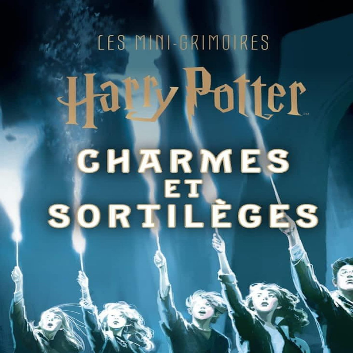 CHARMES ET SORTILEGES, Huginn & Muninn