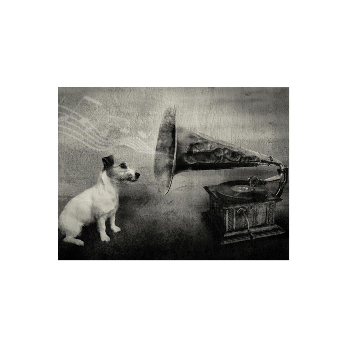 Paris Prix Papier Peint  Dog's Melodies