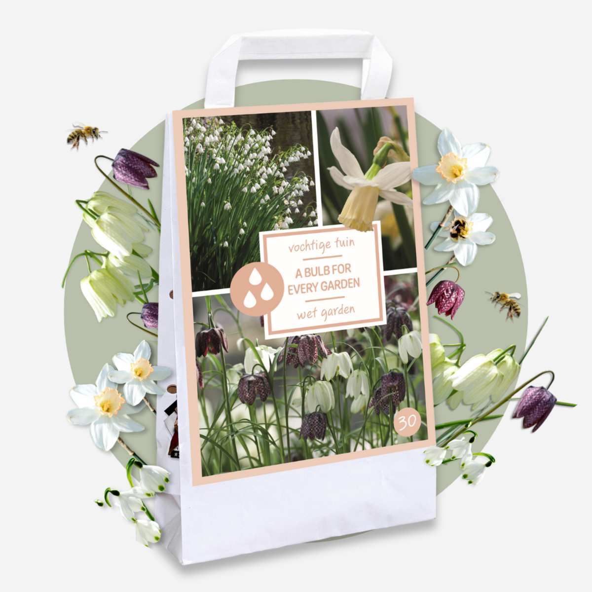 PLANT IN A BOX Coffret Jardin Humide - 30 bulbes pour endroits humides et pluvieux