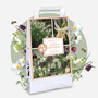 Voir la diapositive 5 : PLANT IN A BOX Coffret Jardin Humide - 30 bulbes pour endroits humides et pluvieux