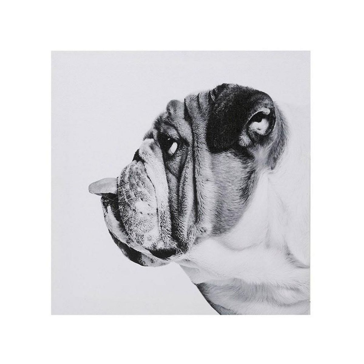 OSTARIA Ensemble de 4 tableaux sur toile imprimée 28x28 cm Funny