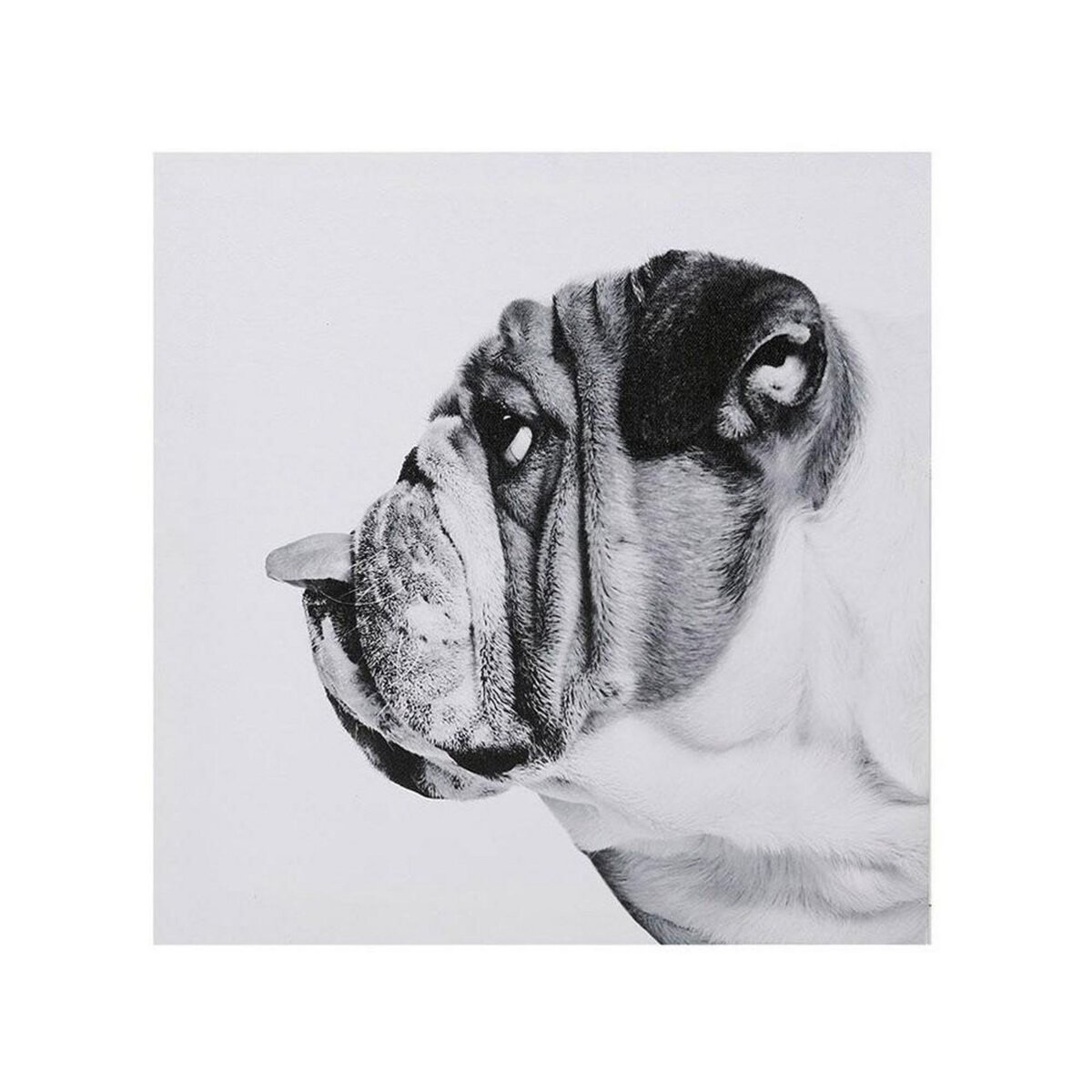 OSTARIA Ensemble de 4 tableaux sur toile imprimée 28x28 cm Funny