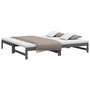 Voir la diapositive 3 : VIDAXL Lit coulissant sans matelas gris 2x(90x200) cm