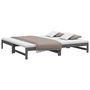 Voir la diapositive 3 : VIDAXL Lit coulissant sans matelas gris 2x(90x200) cm