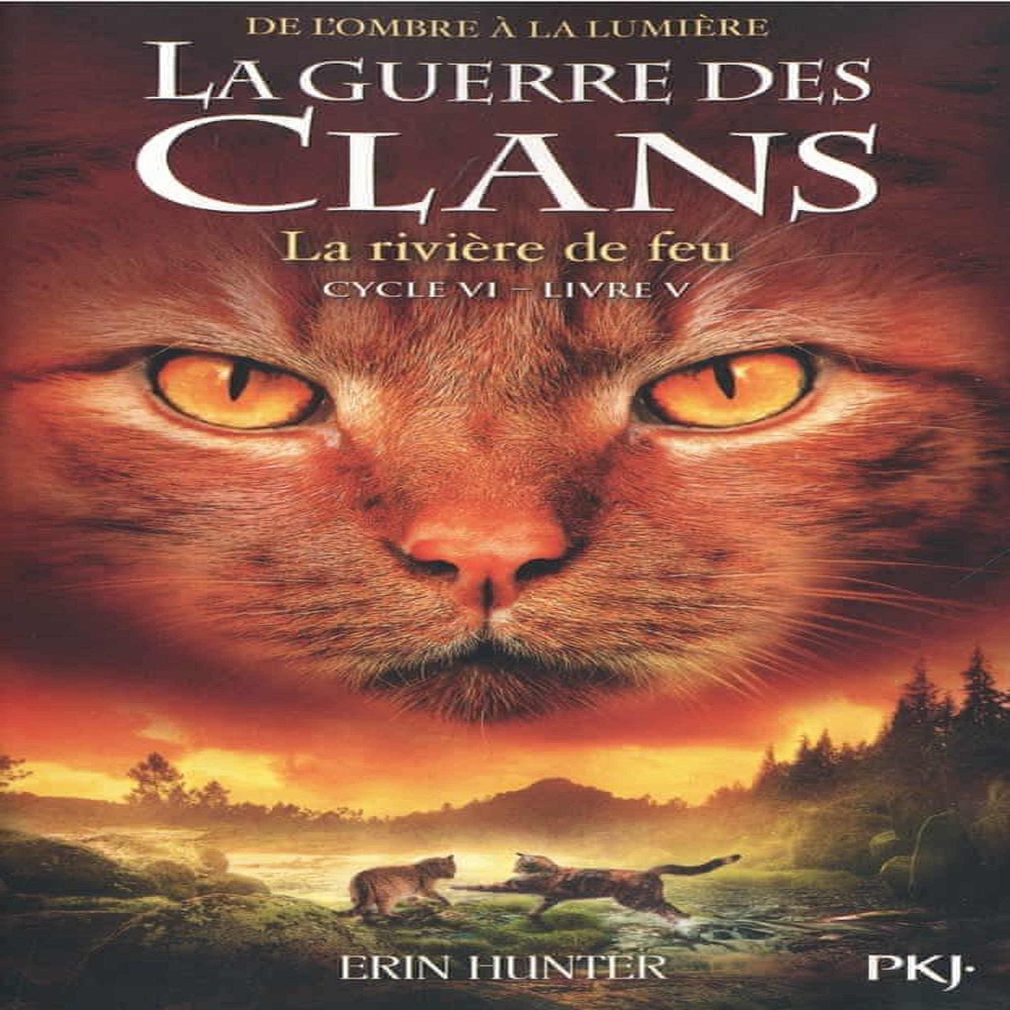 LA GUERRE DES CLANS : DE L'OMBRE A LA LUMIERE (CYCLE VI) TOME 5 : LA RIVIERE DE FEU, Hunter Erin