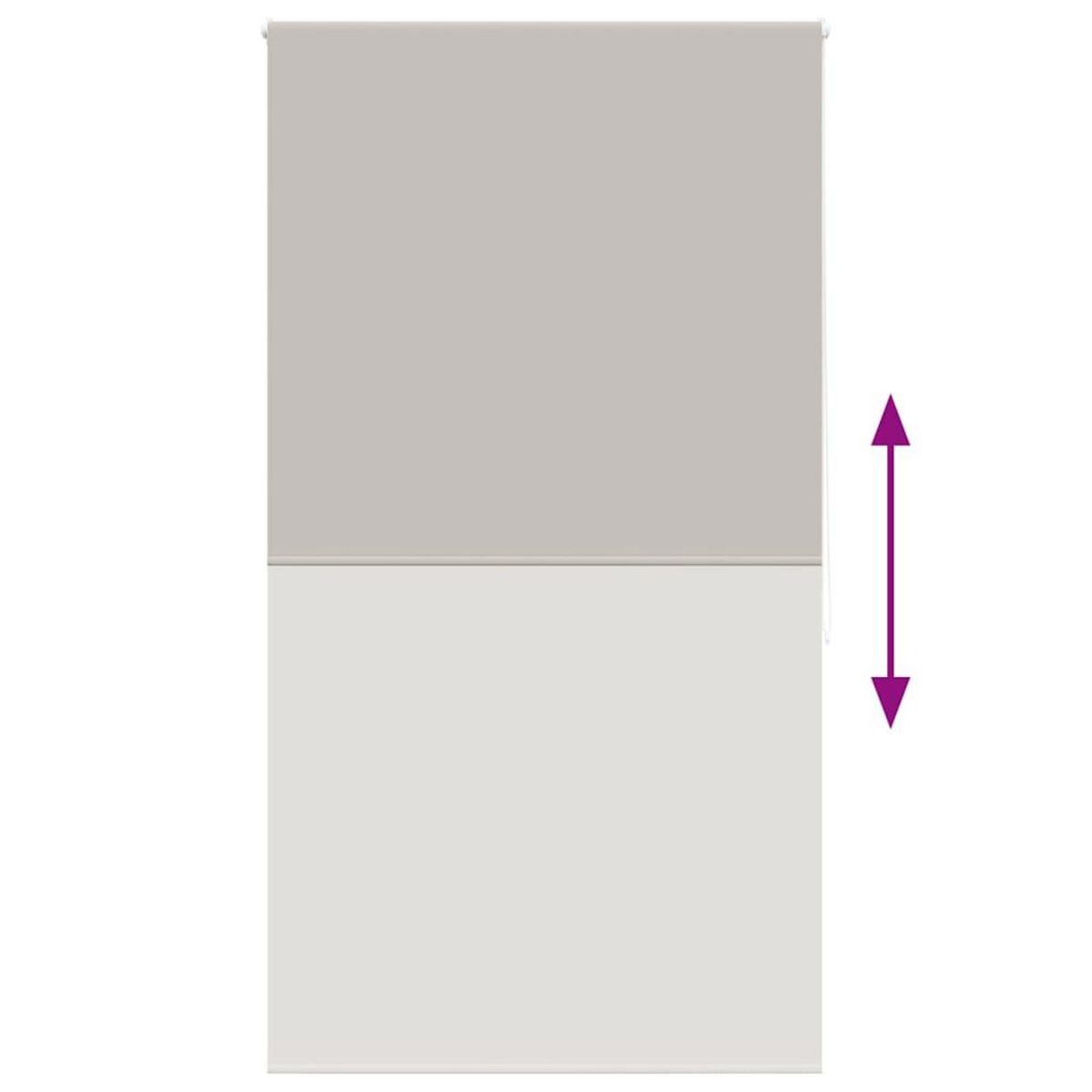 VIDAXL Store enrouleur de douche 120x240 cm largeur du tissu 116 cm