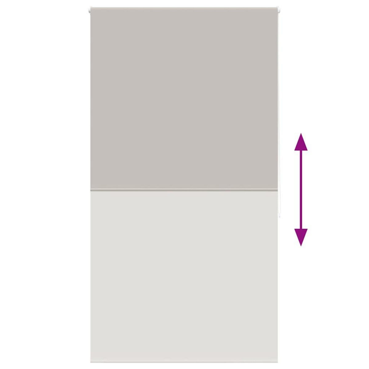 VIDAXL Store enrouleur de douche 120x240 cm largeur du tissu 116 cm