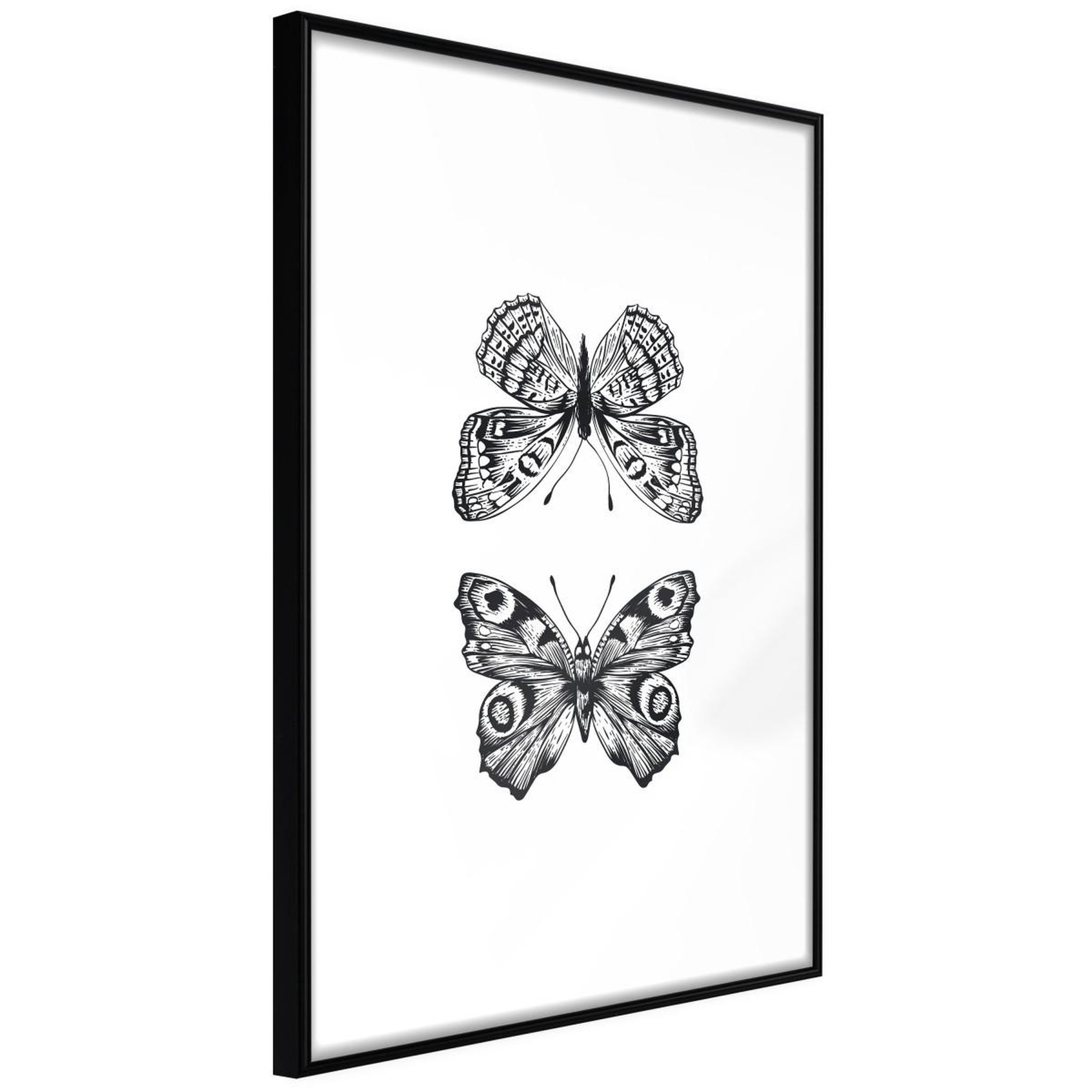 Paris Prix Affiche murale encadrée  butterfly collection i