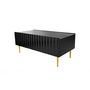 Voir la diapositive 5 : BEST MOBILIER Ambre - table basse - 2 portes - 120 cm