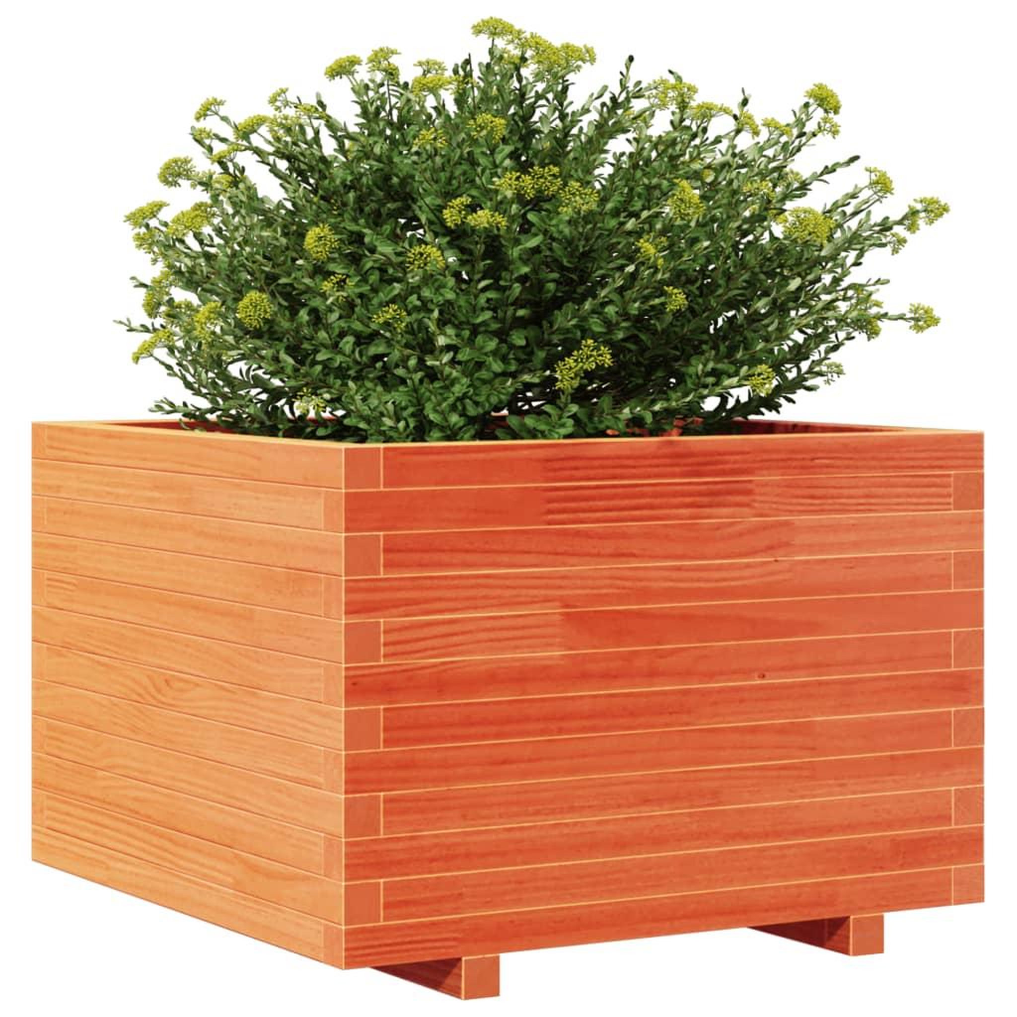 Voir la diapositive 4 : VIDAXL Jardiniere cire marron 70x70x49,5 cm bois de pin massif