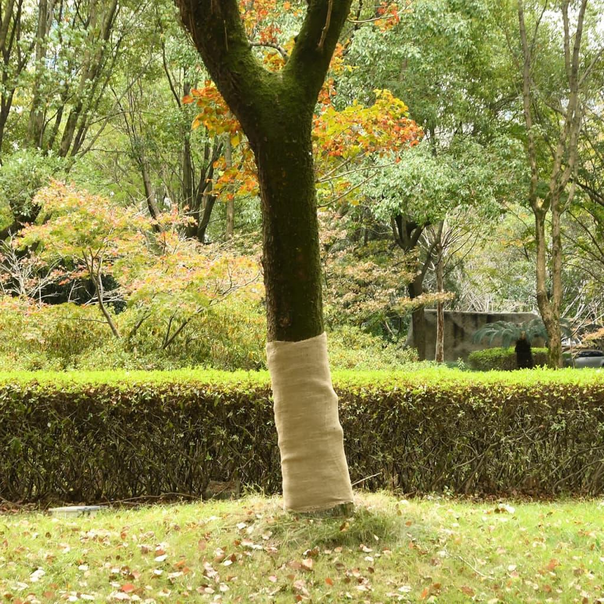 VIDAXL Rouleau de jute 1x15 m 100 % jute 200 g/m²