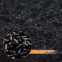Voir la diapositive 5 : LINXOR Lot de 5 filtres à charbon actif pour composteur, poubelle à compost - Rond