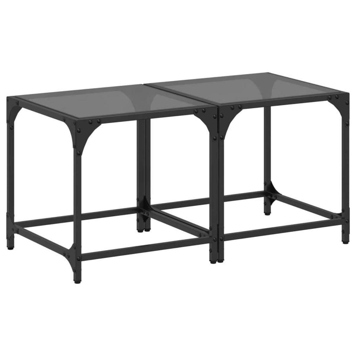 VIDAXL Tables basses avec dessus en verre noir 2 pcs 40x40x40 cm acier