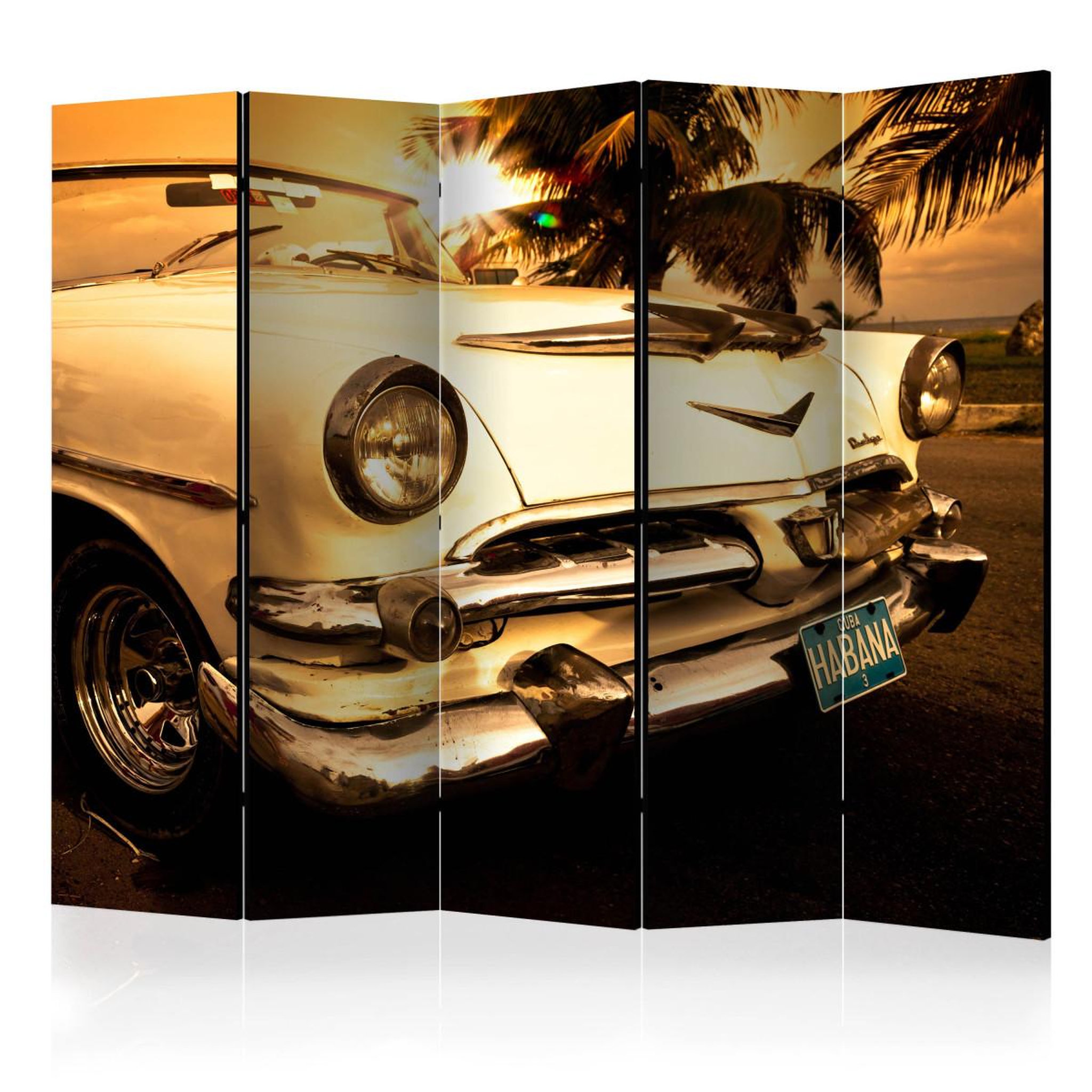 Paris Prix Paravent 5 volets  viva havana!  172x225cm