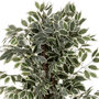 Voir la diapositive 2 : ATMOSPHERA Plante Artificielle  Ficus  180cm Vert