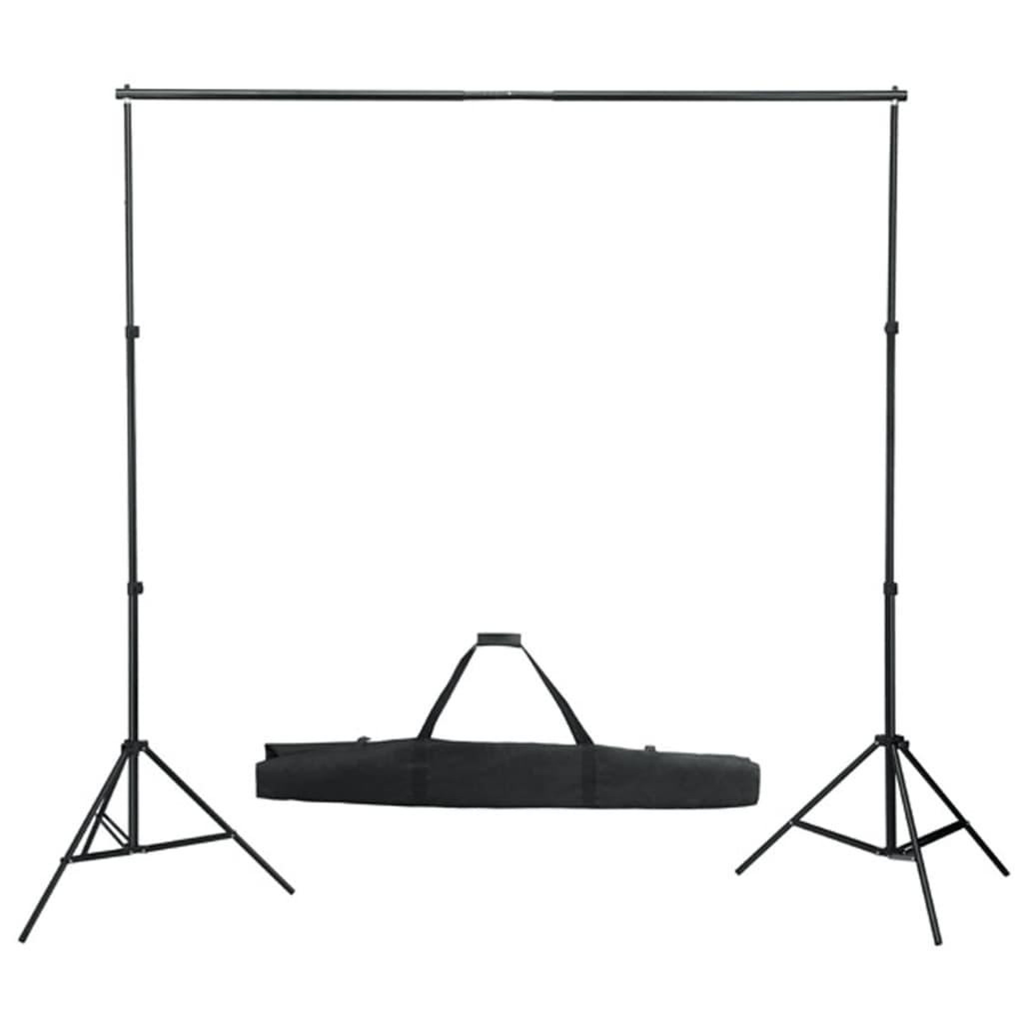 Voir la diapositive 5 : VIDAXL Kit de studio photo avec eclairage et toile de fond