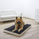 KERBL Kerbl Matelas en mousse pour chiens 100 x 60 cm Beige et Gris 80327