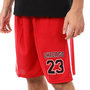 Voir la diapositive 1 : SPORTZONE Short basketball Rouge Homme Sport Zone Miami