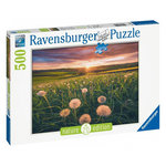 RAVENSBURGER Puzzle 500 p - pissenlits au crépuscule