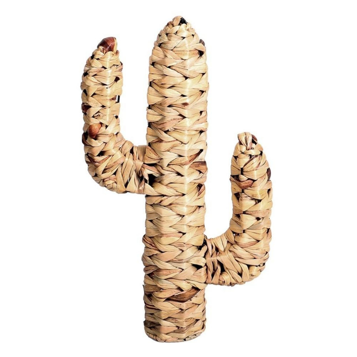 FORNORD Cactus en jacinthe d'eau H45