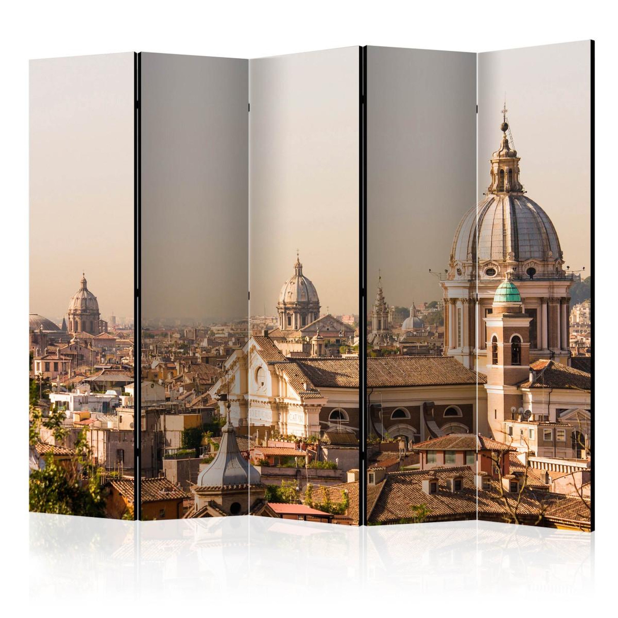 Paris Prix Paravent 5 volets  rome bird's eye view ii  172x225cm