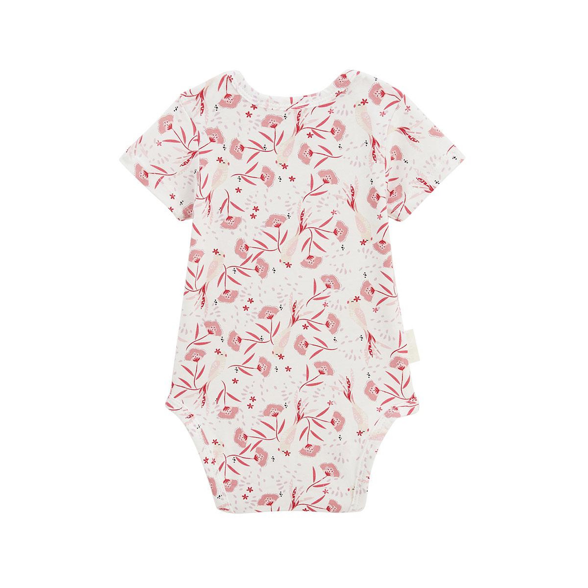 Voir la diapositive 3 : PETIT BEGUIN Lot de 3 bodies bébé manches courtes camila