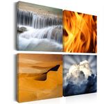 Paris Prix Tableau Imprimé  Diversité de la Nature. Coloris disponibles : Multicolore