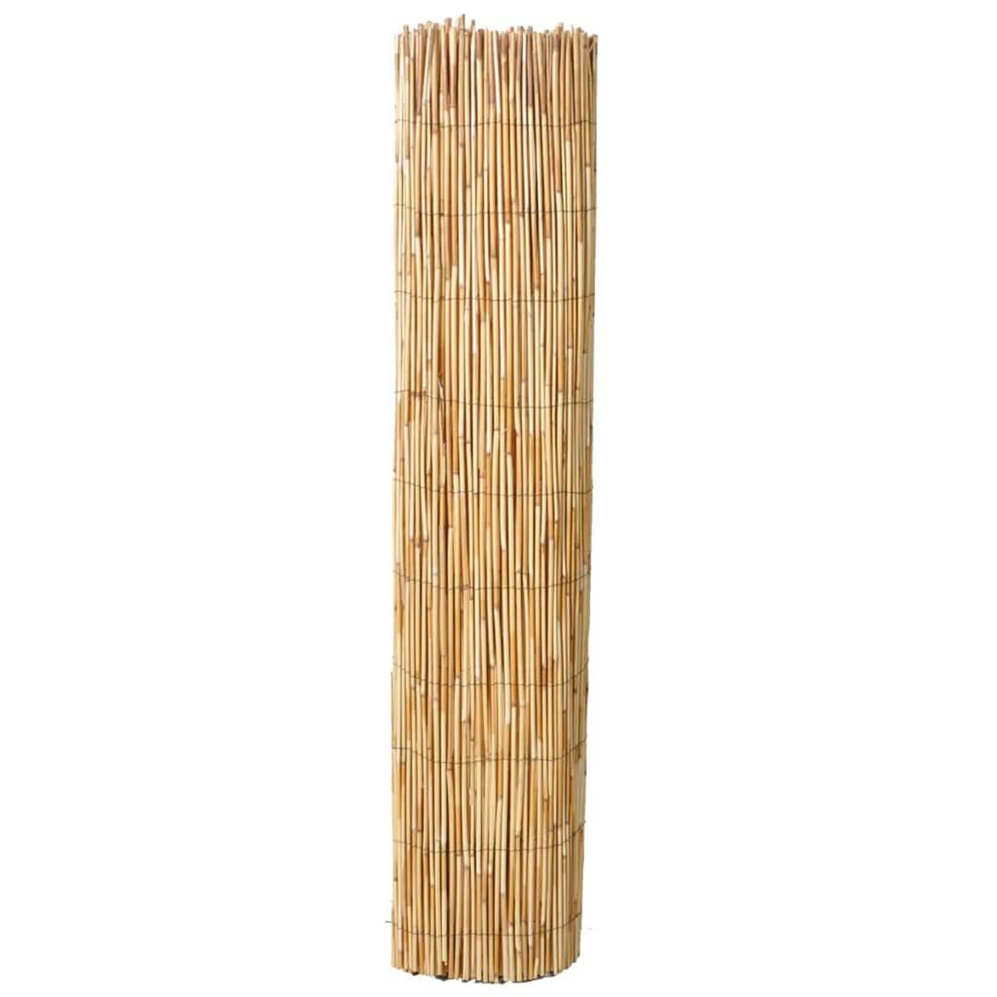 Voir la diapositive 3 : VIDAXL Cloture de jardin en roseau 500x100 cm