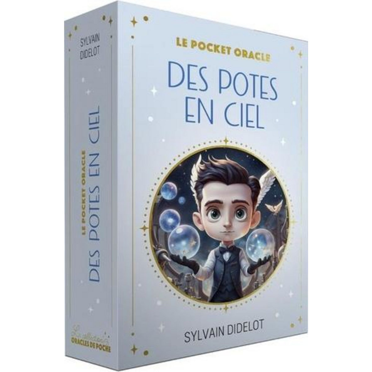 LE POCKET ORACLE DES POTES EN CIEL. 50 CARTES, Didelot Sylvain