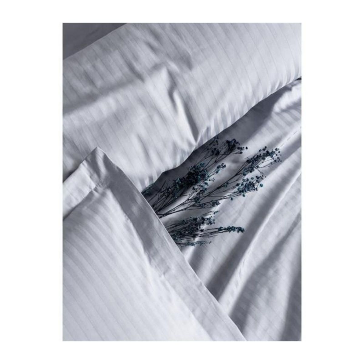 GENERIQUE Parure de lit - 129CTF24636 - 1 housse de couette 220 x 240 cm + 2 taies d'oreiller 60 x 60 cm - Satiné 100% coton - Gris