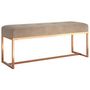 Voir la diapositive 2 : VIDAXL Banc Beige 110x36x45 cm Velours
