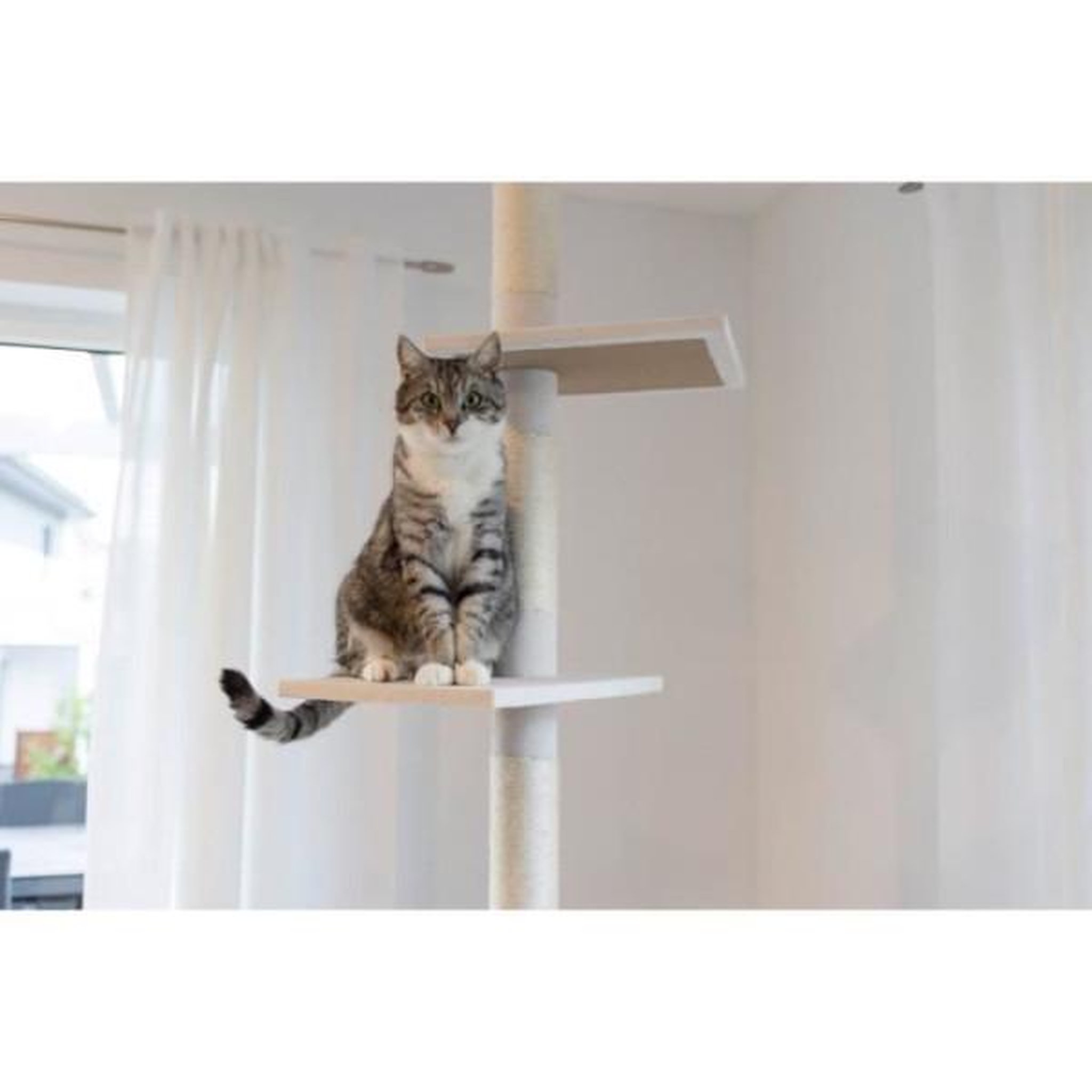 Voir la diapositive 3 : KERBL KERBL - Arbre a chat FERDI - 38 x 38 x 240 a 260 cm - Blanc - Sisal