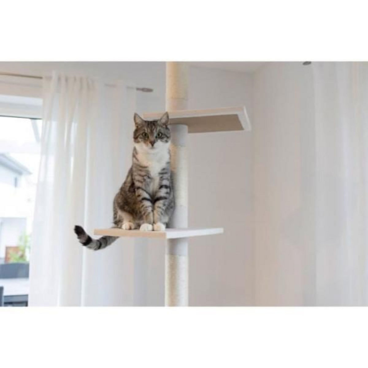 KERBL KERBL - Arbre a chat FERDI - 38 x 38 x 240 a 260 cm - Blanc - Sisal