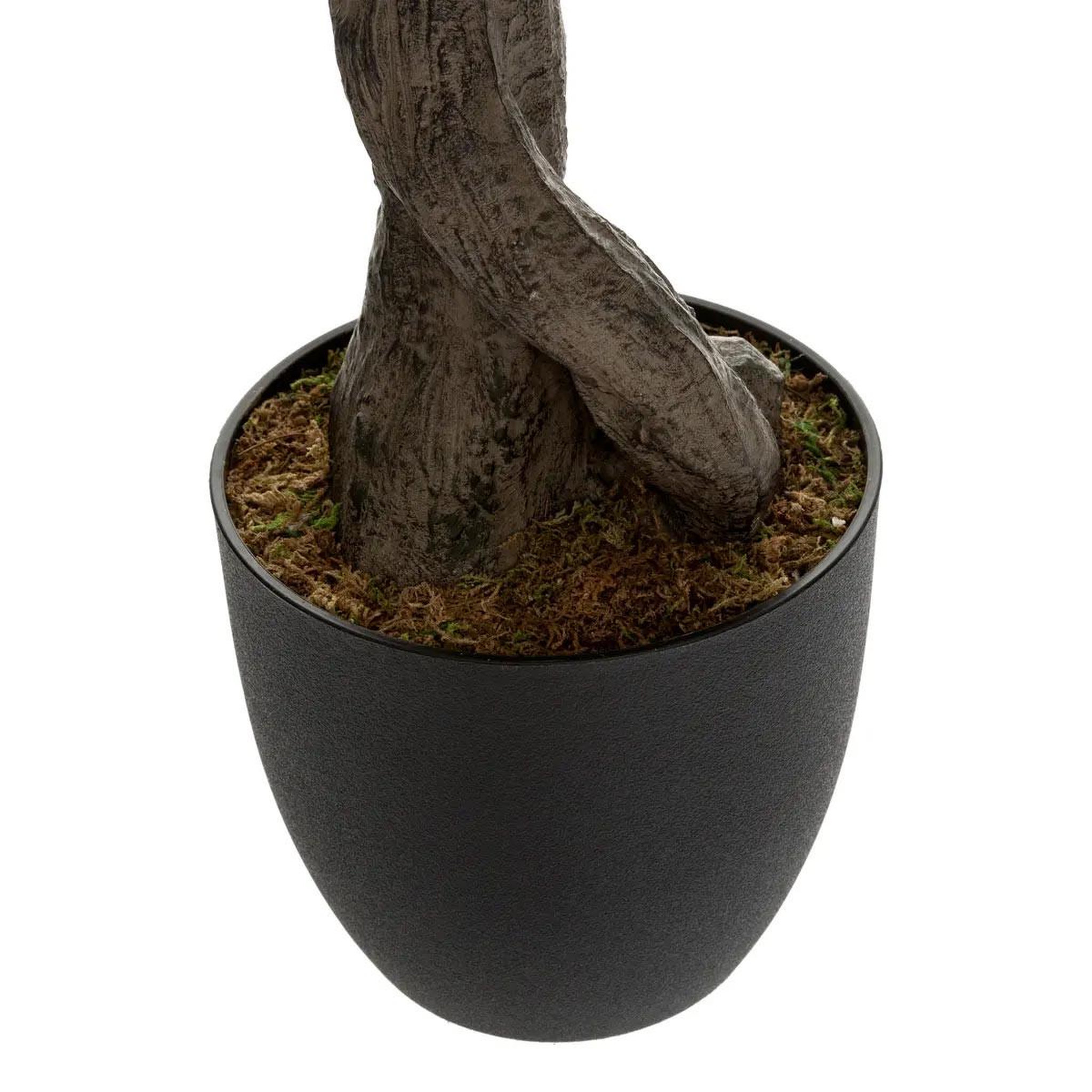 Voir la diapositive 3 : ATMOSPHERA Plante artificielle en pot  olivier  140cm vert & noir