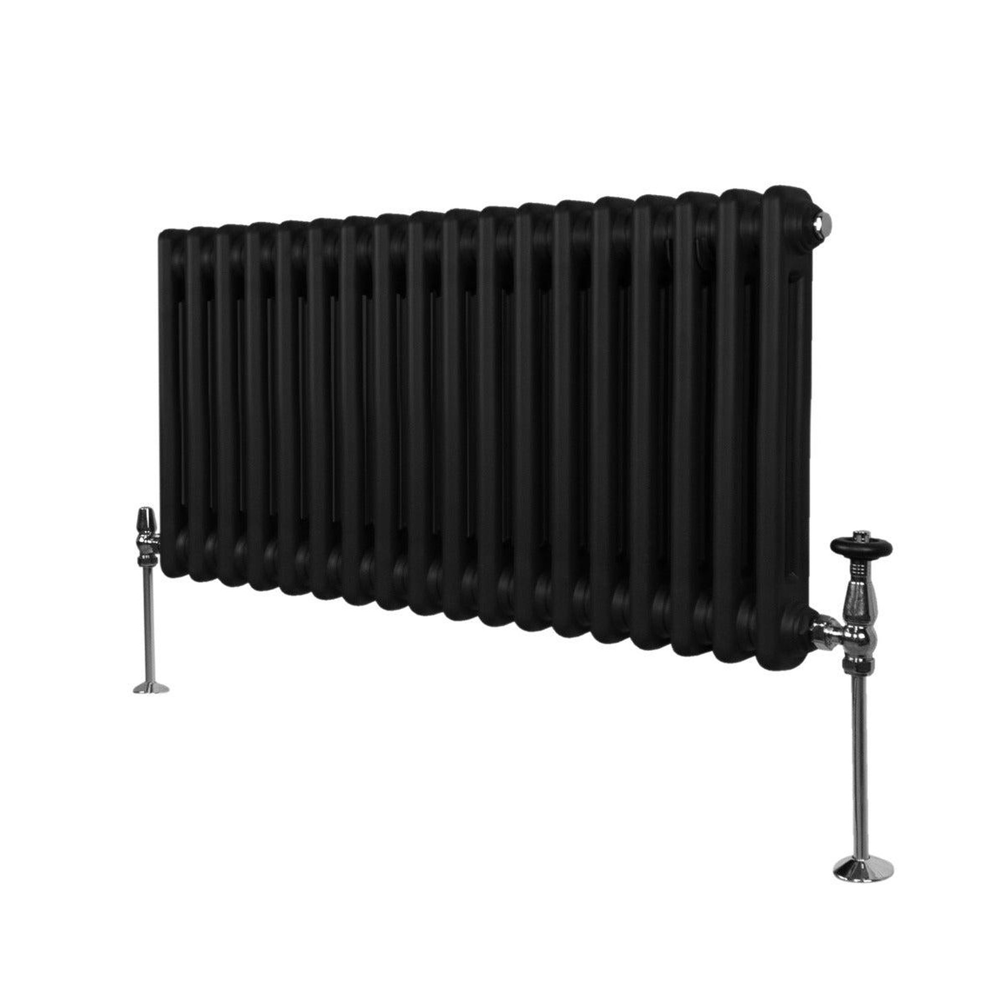 Voir la diapositive 1 : MONSTERSHOP Radiateur traditionnel à 2 colonnes – 300 x 832 mm