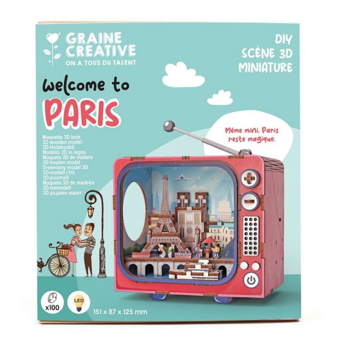 Graine créative Maquette bois 3D - TV Paris