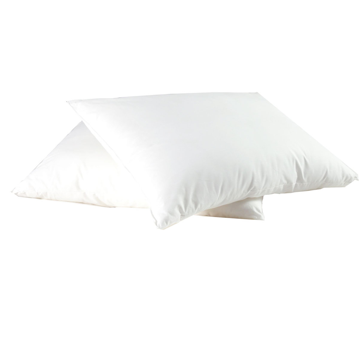 DODO Lot de 2 oreillers confort moelleux en microfibre toucher peau de pêche DOUCES REVERIES 