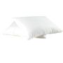 Voir la diapositive 2 : DODO Lot de 2 oreillers confort moelleux en microfibre toucher peau de pêche DOUCES REVERIES 